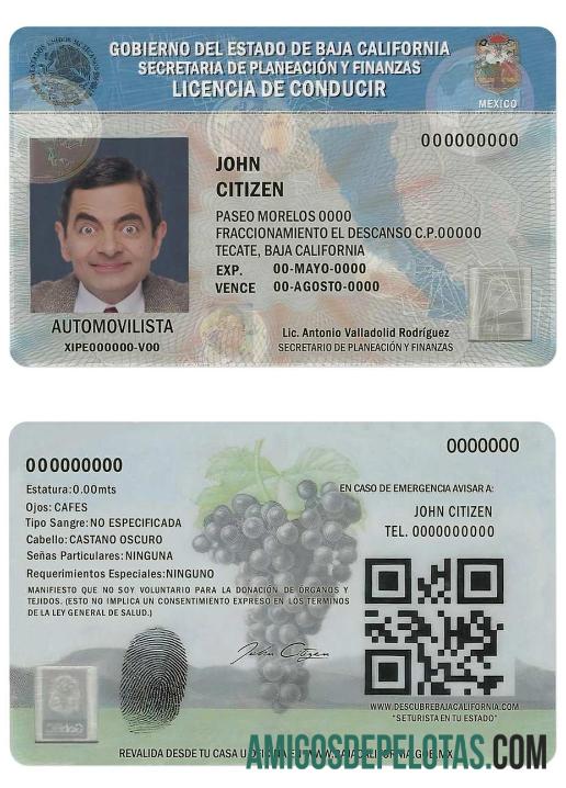 Carteira de motorista da Baja Califórnia do México exemplo